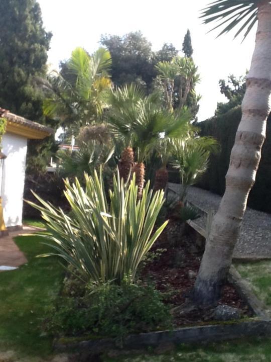 Apartmán Casa Las Ciguenas Vejer de la Frontera Exteriér fotografie