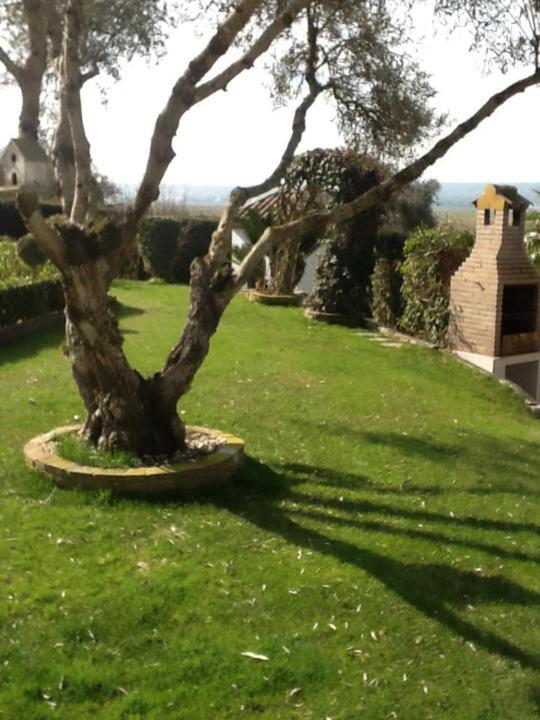 Apartmán Casa Las Ciguenas Vejer de la Frontera Exteriér fotografie