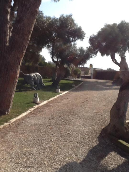 Apartmán Casa Las Ciguenas Vejer de la Frontera Exteriér fotografie